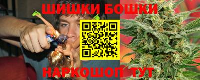 мдпв Партизанск