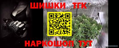 мдпв Партизанск